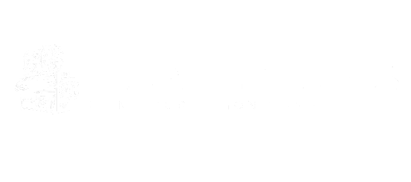 purplepictures.in